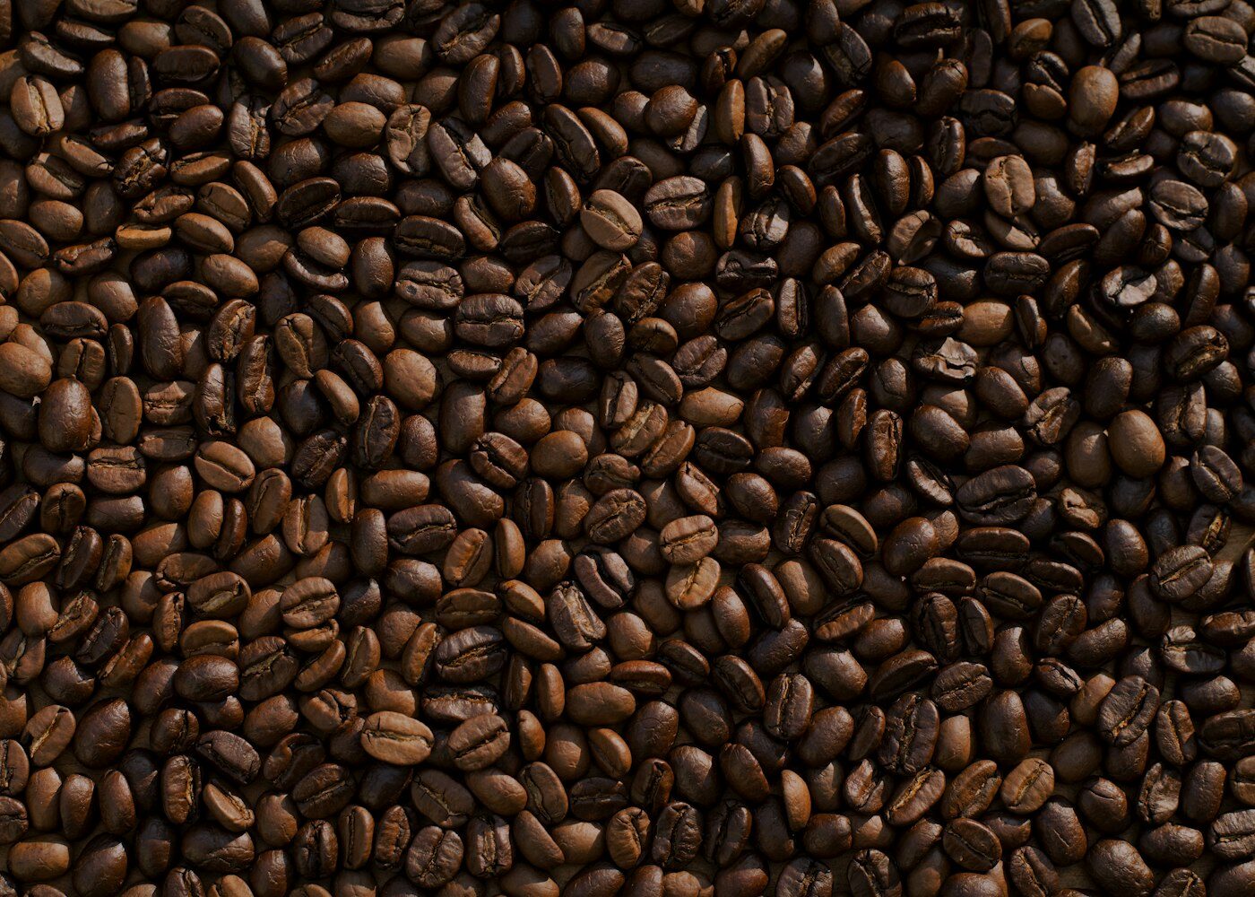 Close-up of glossy roasted coffee beans