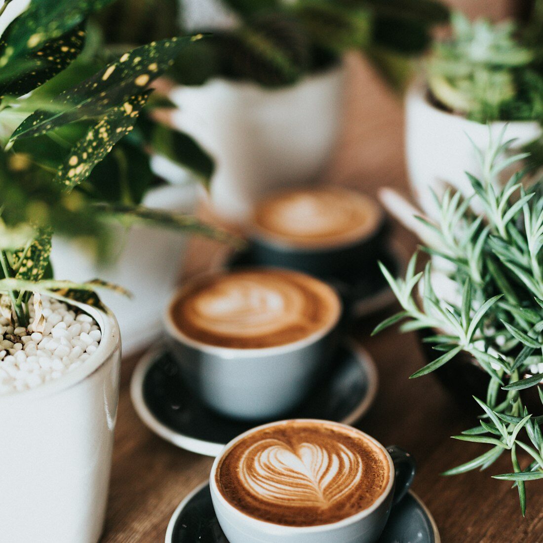 A latte with delicate rosetta art beside fresh herbs